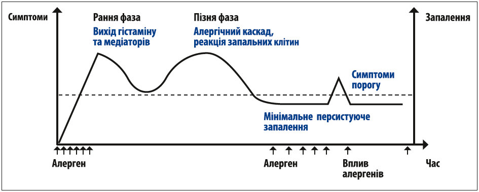 Рис. Часові терміни розвитку алергічного запалення