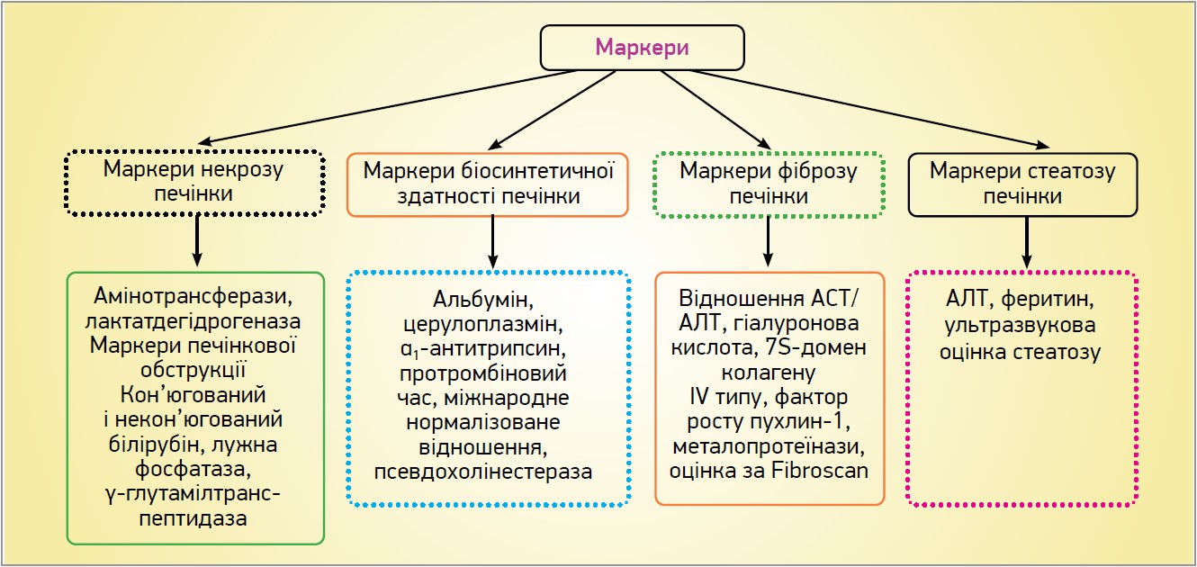 ZU_13-14_2024_st12-13_pic2.jpg