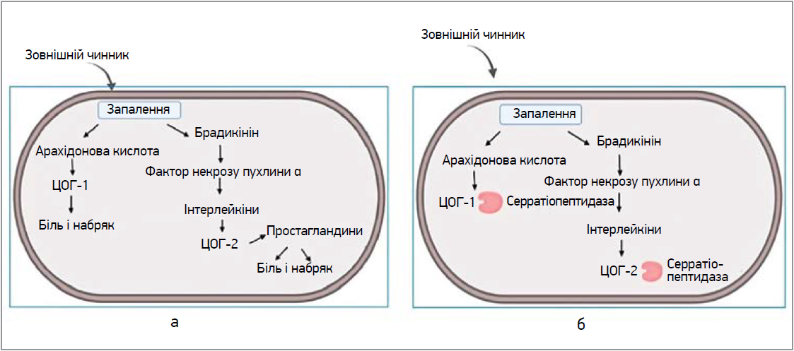 ZU_17_2024_st23_pic2.png