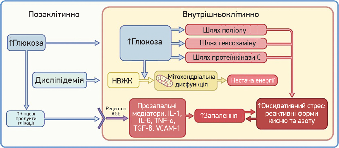 ZU_19_2024_st20-21_pic.png